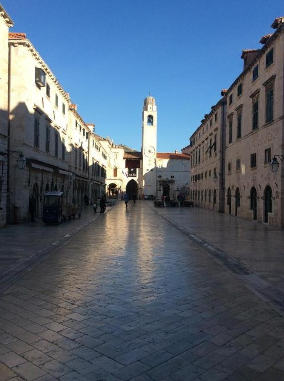 Center Larica *