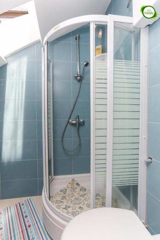 Center Larica Apartman